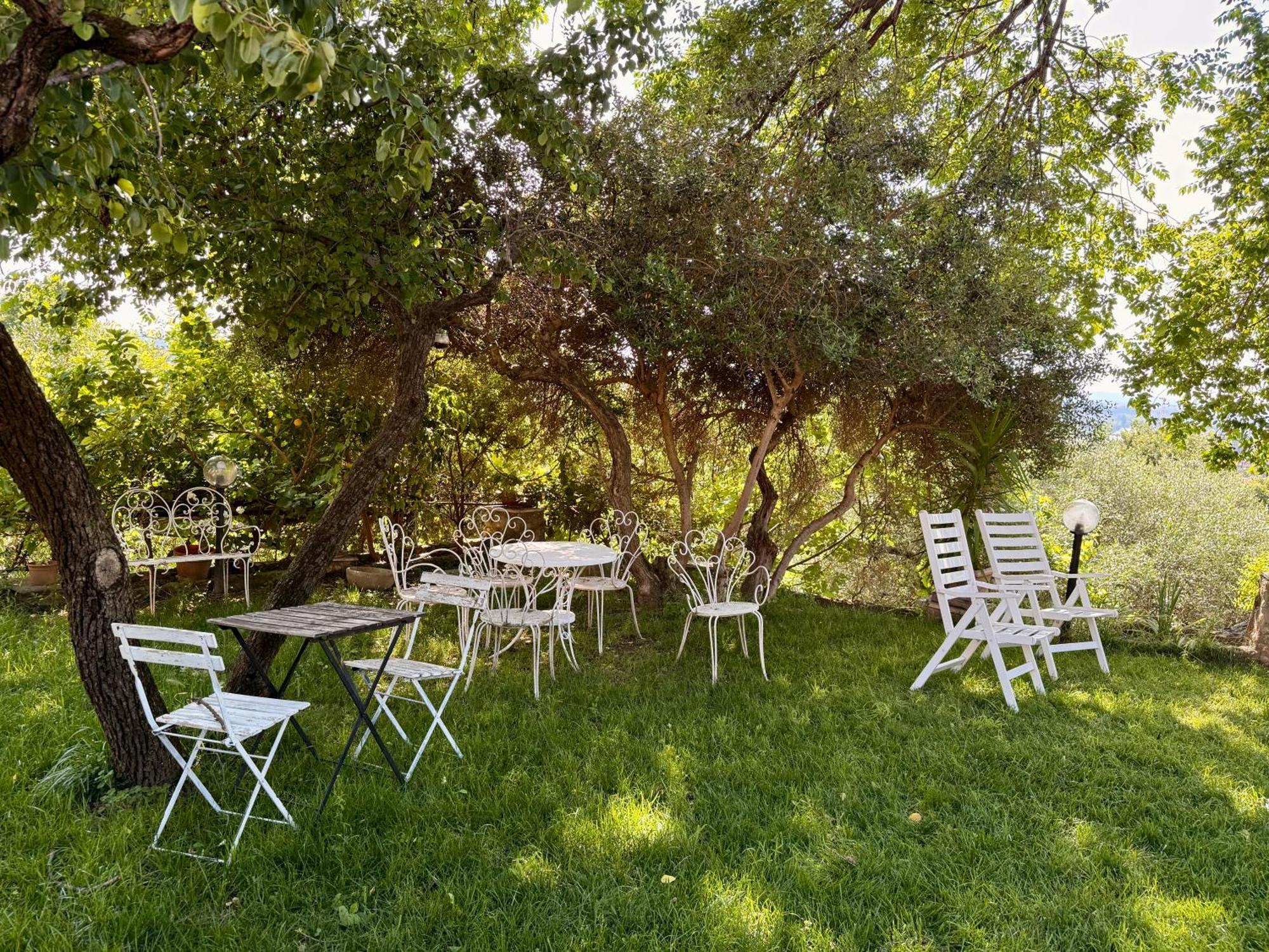 Green Leaves فيرونا المظهر الخارجي الصورة